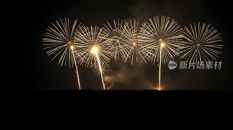夜空烟花绽放璀璨夺目
