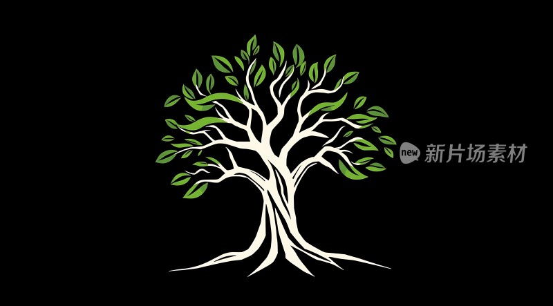 新片场素材 树木繁茂