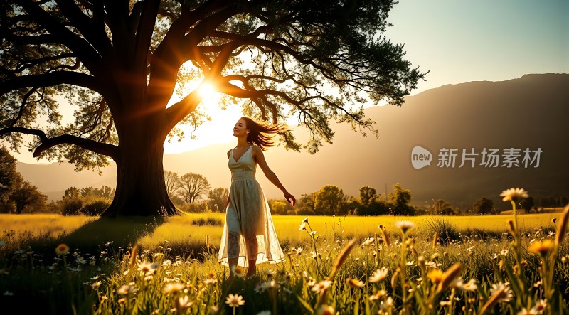 阳光下的草地上的女子