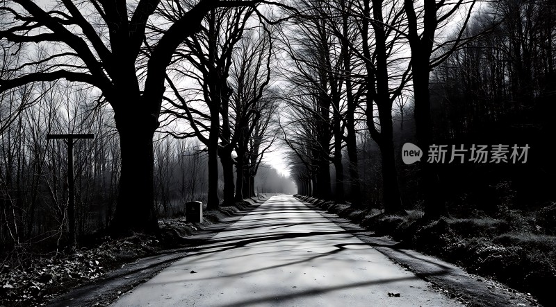 新片场素材

光影交错的小径