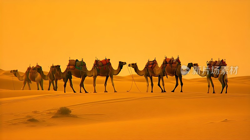 驼队穿越金色沙漠