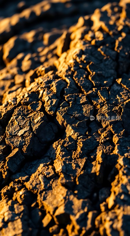 阳光下的干裂土地