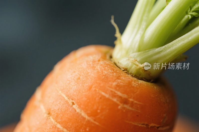 胡萝卜特写画面