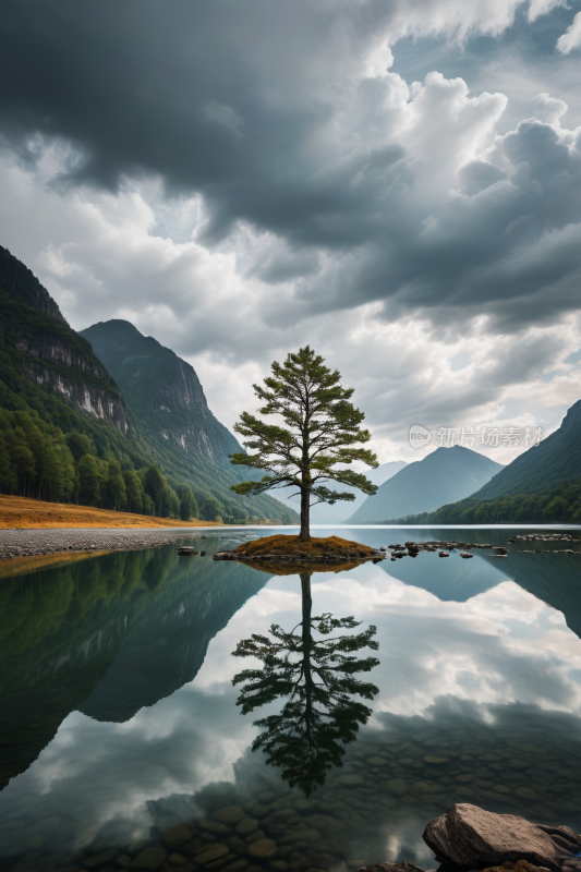 湖中央的一个小岛上一棵孤树高清风景图片