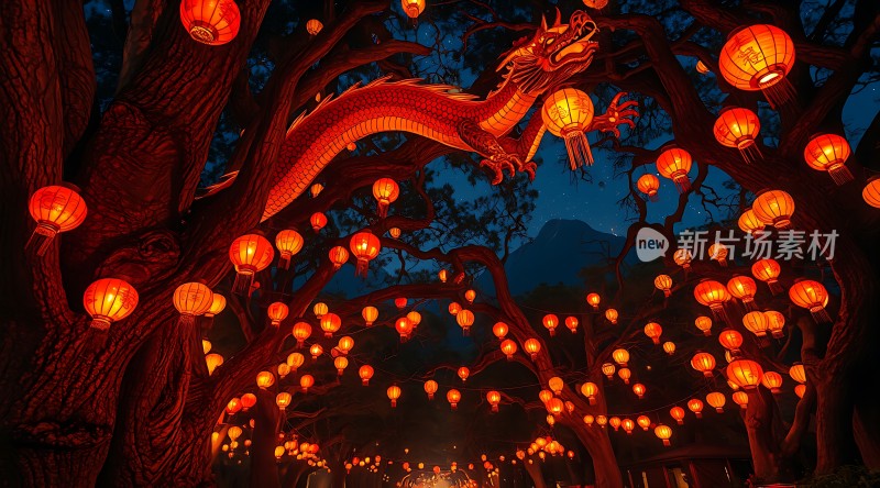 灯笼龙舞夜色中