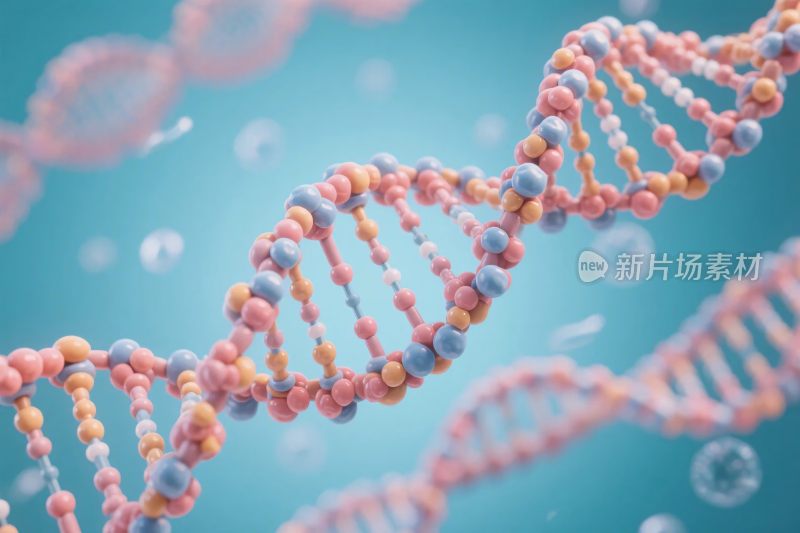 分子双螺旋结构