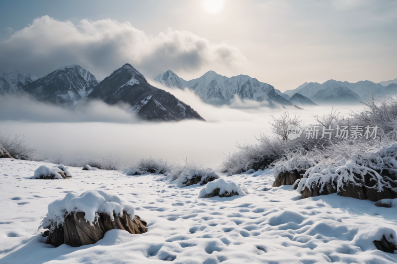 雪山上有雪前景中有几棵树高清风景图片