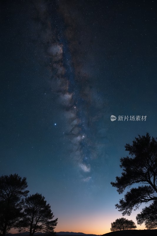 星空上有几棵树高清风景图片