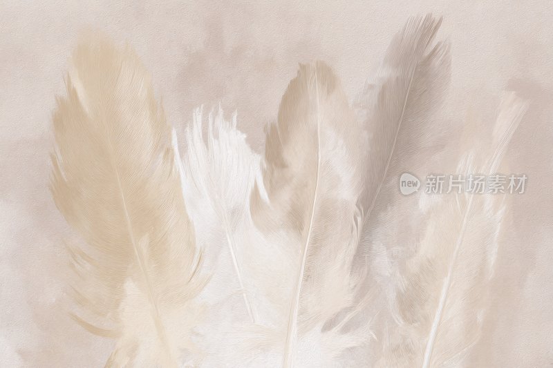 柔和色调的轻盈羽毛画面
