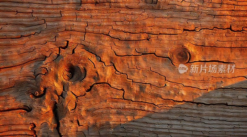 木纹纹理细节
