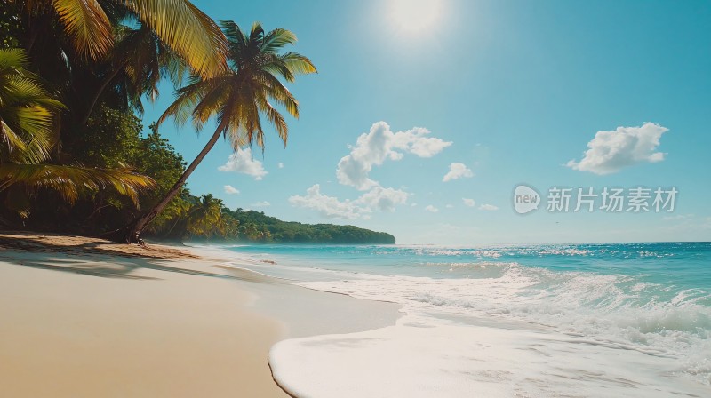 热带海边风景