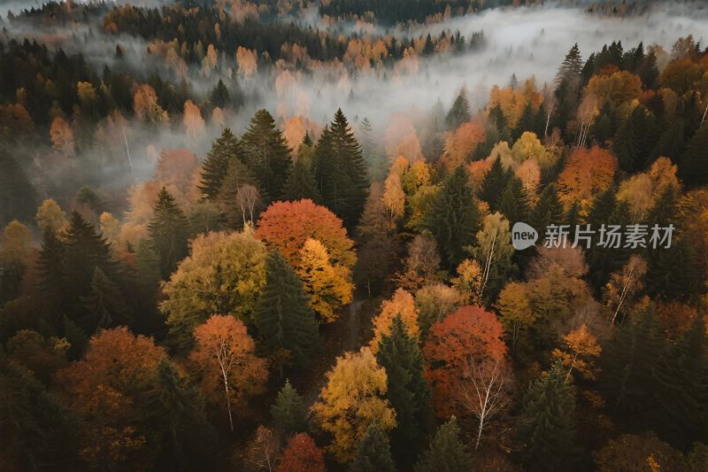 秋日山林云雾缭绕美景