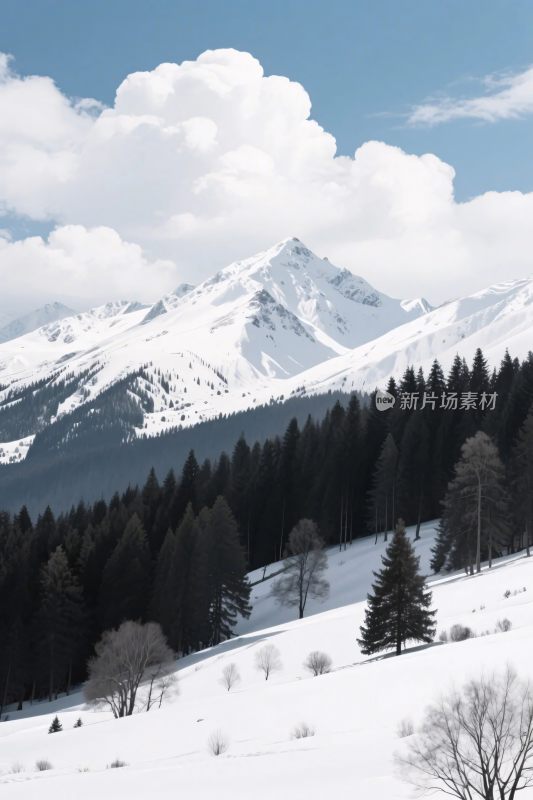 雪山森林雪景风景