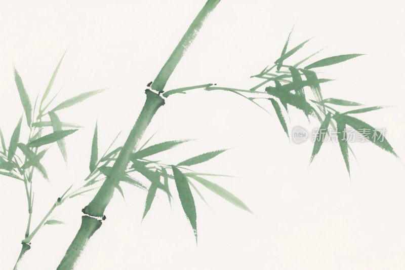 竹子水墨插画