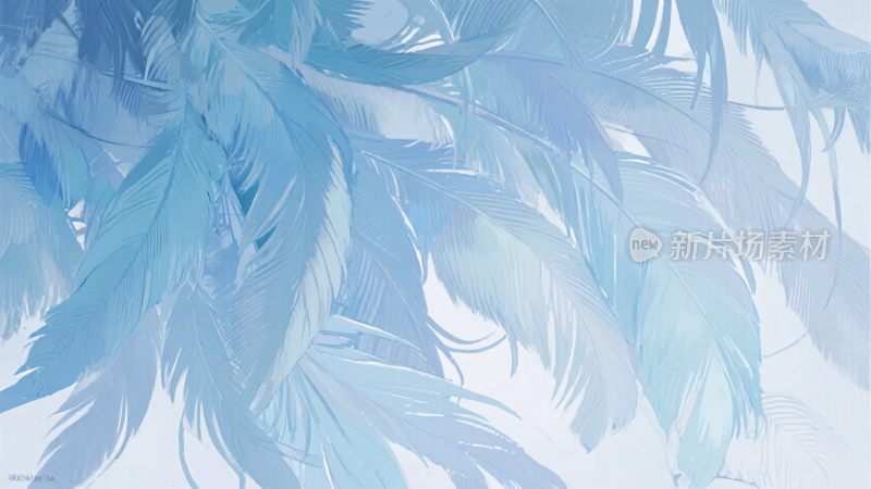 蓝色飘逸羽毛画面