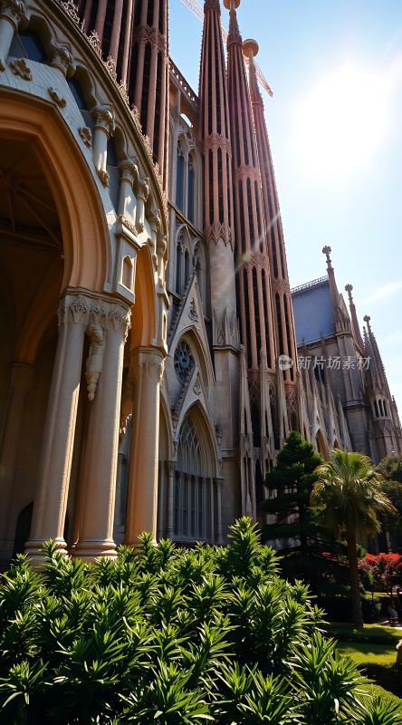 阳光下的宏伟教堂