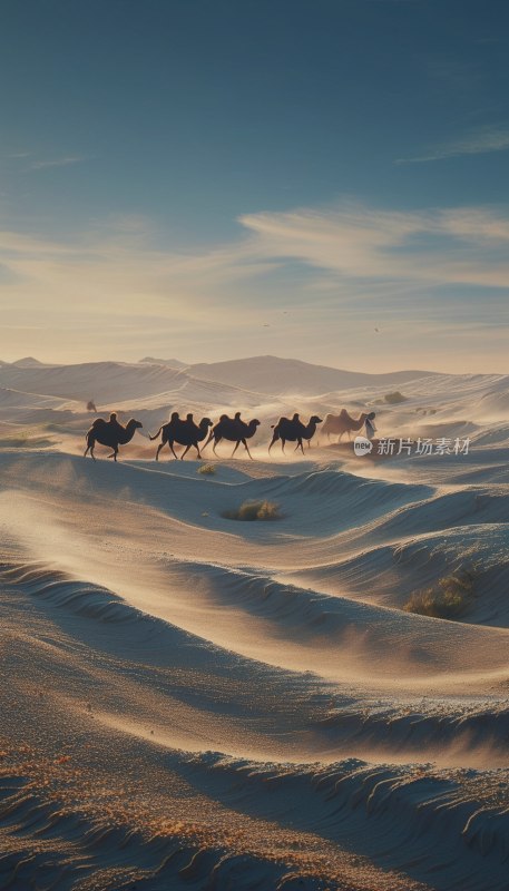 沙漠驼队行