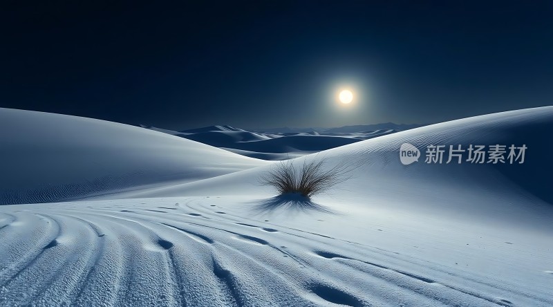 月下雪原