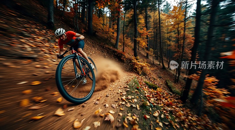 秋日骑行风驰电掣穿林间