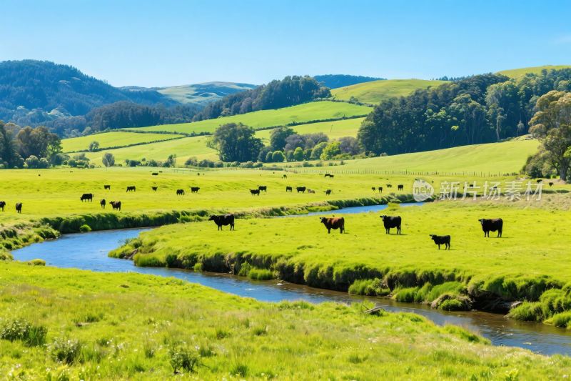 田园风光风景画