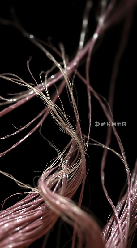 光纤世界探索无限可能