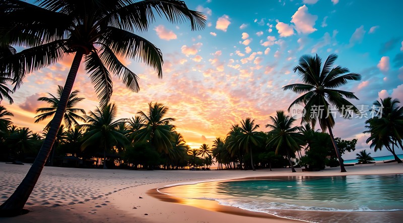 椰林晚霞映碧波