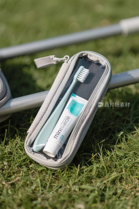 草地中的牙刷牙膏收纳