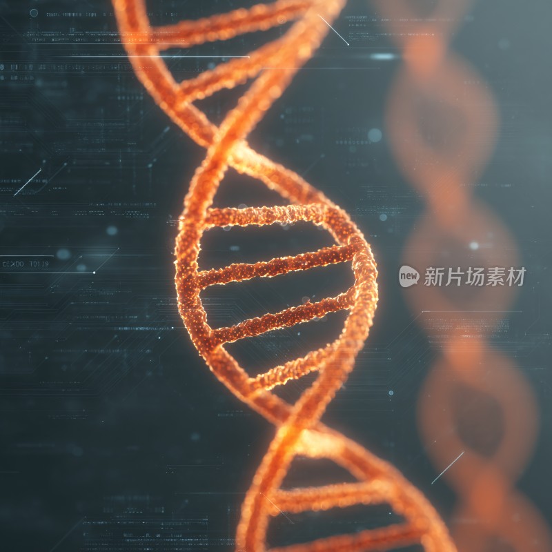 双螺旋结构特写