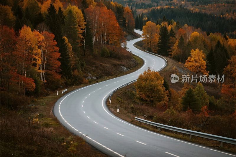秋日蜿蜒公路美景