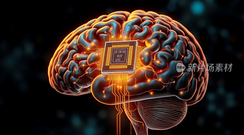 大脑芯片连接智能未来启示录