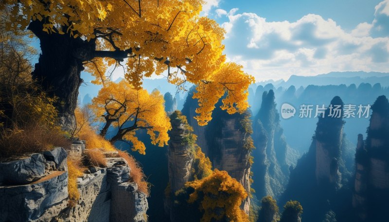 张家界秋色悬崖