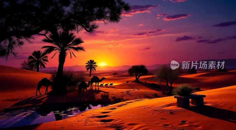 沙漠驼影日落图
