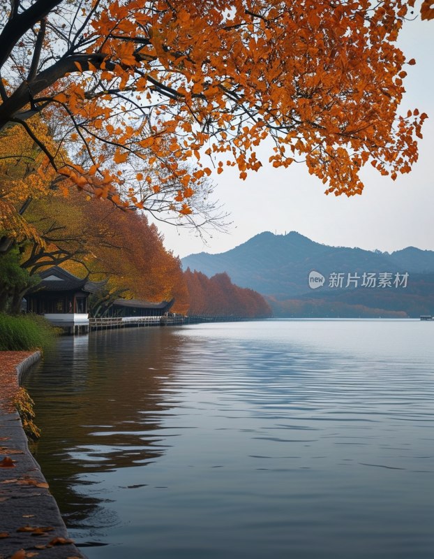 杭州西湖秋色美