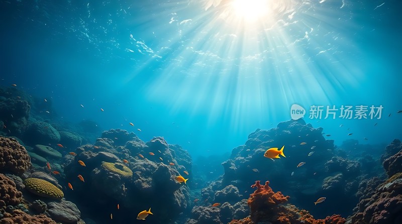 阳光下的海底世界