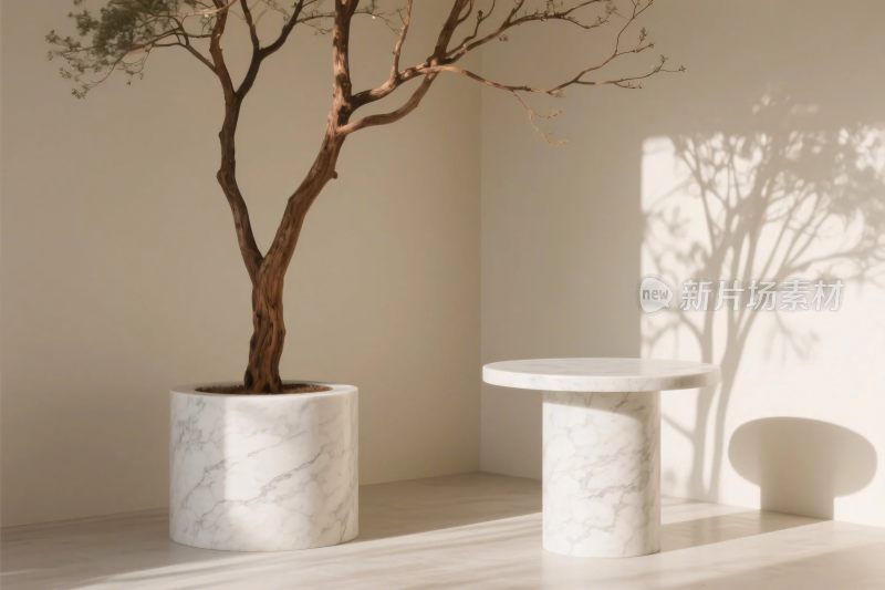 简约室内绿植布置