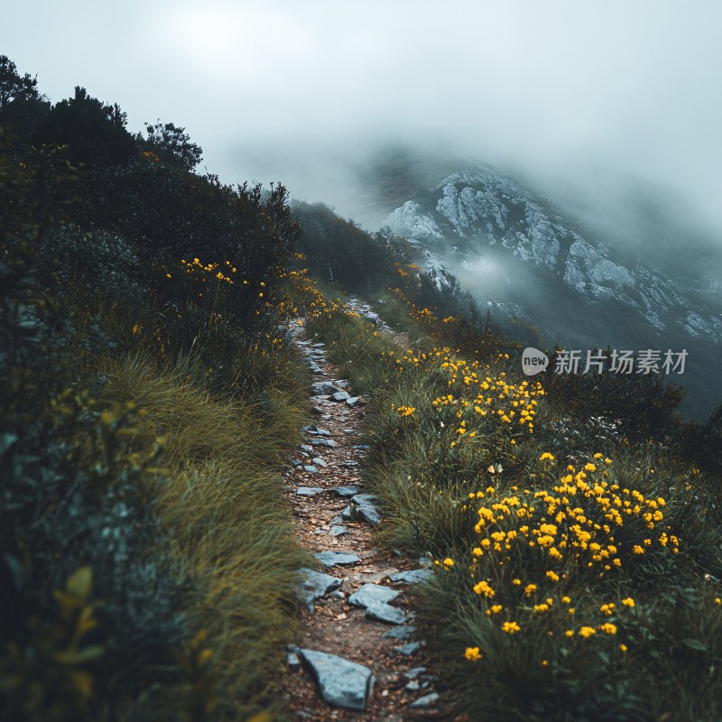 唯美登山道