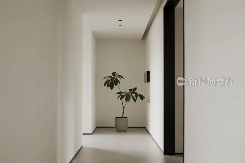 现代简约走廊绿植