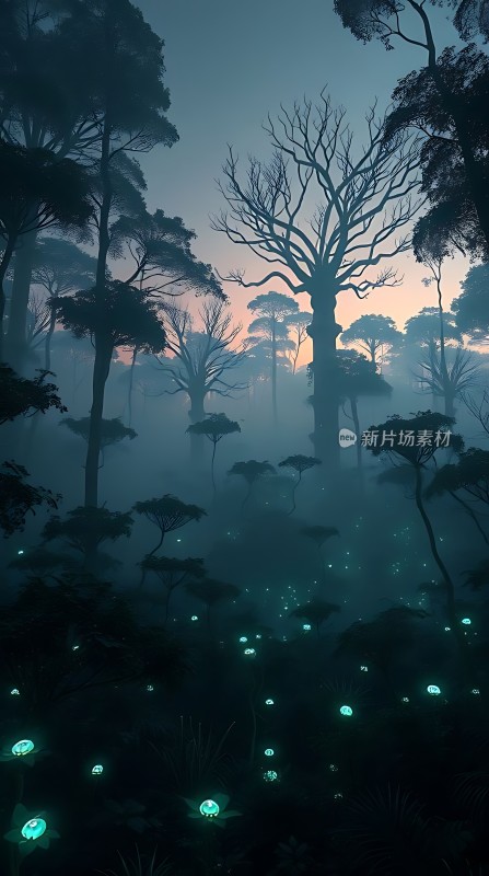 神秘森林夜光奇景