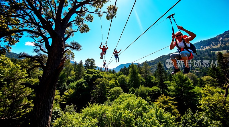 穿越森林的空中之旅
