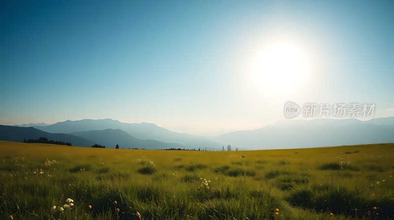 阳光下的绿色草原与远山