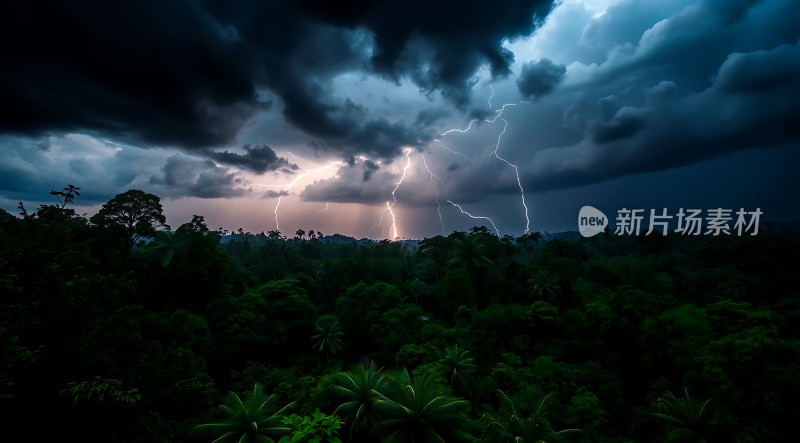 雷雨夜森林闪电