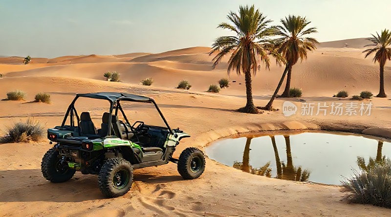 沙漠绿洲探险之旅
