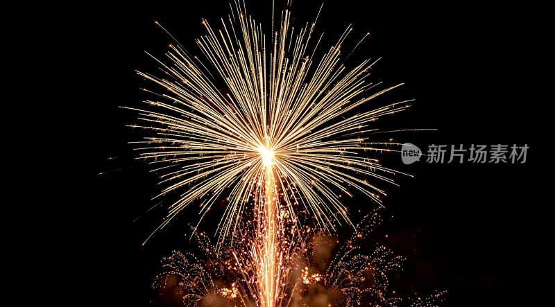 夜空烟花绽放璀璨夺目