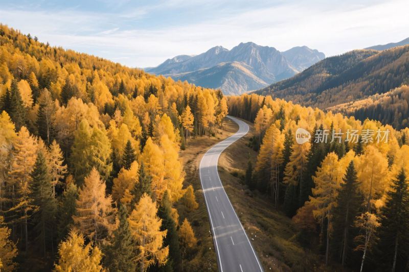 秋日山间蜿蜒公路美景