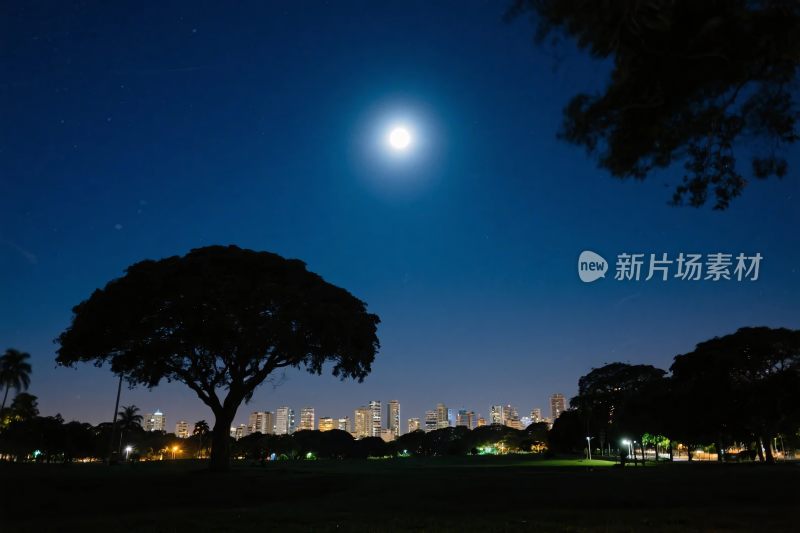 夜晚公园城市夜景