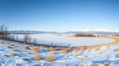 雪原上的宁静美景 雪原上的宁静美景