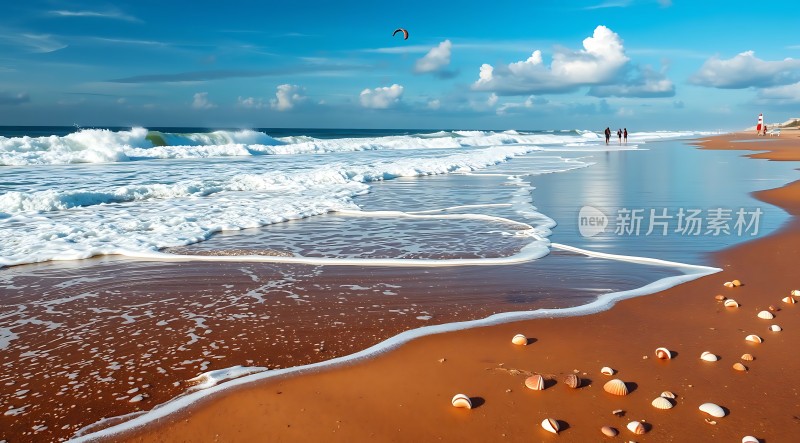 阳光下的海浪与贝壳