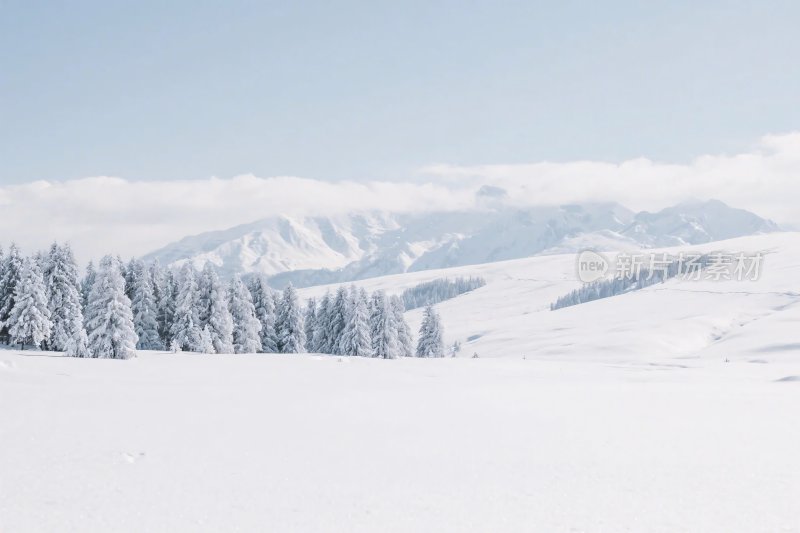 雪山森林雪景图