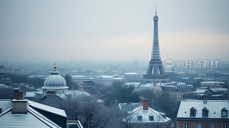 巴黎铁塔雪景