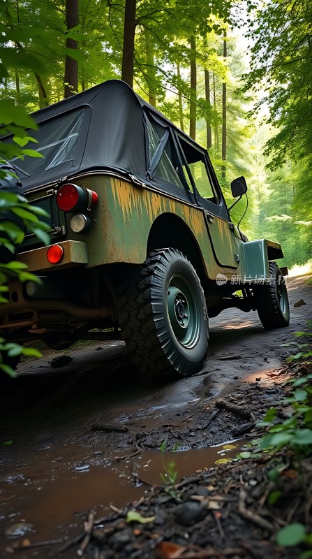 森林探险之旅越野车穿越泥泞小径